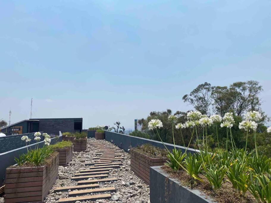 Villa Gran Ubicacion, En La Zona De Santa Fe, King Bed Mexiko-Stadt Exterior foto